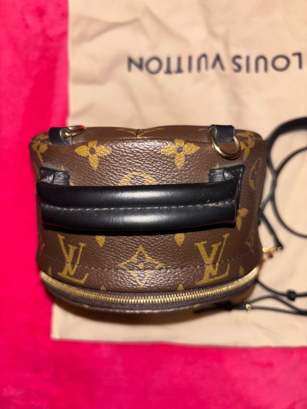 Louis Vuitton Monogram palm springs mini Backpack in Brown with Gold Hardware - Picture 5 of 13
